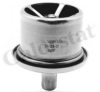 CUMM 3076489 Thermostat, coolant